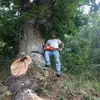 Antonio Stanizzi786 - @antoniostanizzi76 - TikTok