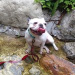 Antonio Stanton - @cetichtca - Instagram