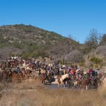 Alamo Trail Ride, San Antonio Stock Show and Rodeo - @alamotrailride - Instagram