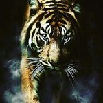 antonio suggs - @suggs4576 - Instagram