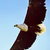 Antonio Sy - @antonio.sy4 - TikTok