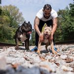Antonio Tejada - @bornqualitybullies - Instagram