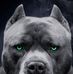 Antonio Tejada - Facebook