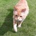 Antony Thexton - Facebook
