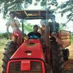 Antonio Tito - @antoniotito22 - Instagram