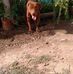 Antonio Tito - Facebook