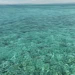 Antonio Tiu - @tiu1826 - Instagram
