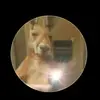alexander tobar - @antoniotobar - TikTok