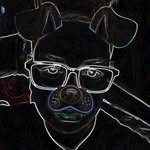 Antonio Tobin - @antonio.tobin - Instagram