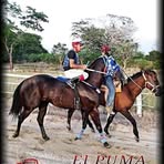 Antonio Tomas - Facebook