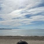 Antonio Tomassi - @panificio_tomassii_ - Instagram