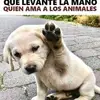Antonio Torrivill611 - @antoniotorrivill6 - TikTok