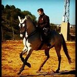 Antonio Toscano - @joseantoniotoscano - Instagram