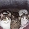 Antonio Trapani - @antonio.trapani8 - TikTok