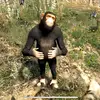 Antonio Trapani - @12576ricardo - TikTok