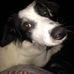 Antonio Trigo - Facebook