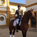 Antonio Trigo - @atrigodressage - Instagram