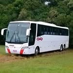 Antonio Trindade - @adimontransportes - Instagram