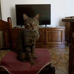 Anna Goduto - @antonio_tripolini_ - Instagram