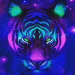 antonio_tripoli - @antonio_tripoli8 - Instagram