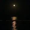 antonio tripoli - @antonio.tripoli8 - TikTok