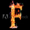 antoniotripoli - @antoniotripoli56 - TikTok