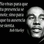 Antonio Troche - @antonio.troche - Instagram