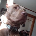 Antonio Troche - @antoniotroche32 - Instagram