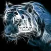 Antonio Truscello211 - @antoniotruscello2 - TikTok