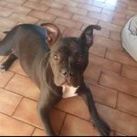 Antonio Truscello - @antonio.truscello.12 - Instagram