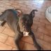 Antonio Truscello - Facebook