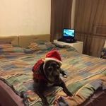 Antonio Tuazon - @tuazonantonio - Instagram
