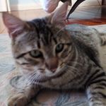 António Viegas - @viegas1832 - Instagram