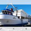 antonioviegas3819 pesca do cer - @antonioviegas3819 - TikTok