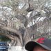 Antonio Vincent - Facebook