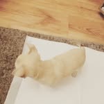 Antonio Violante - @antonioviolante1 - Instagram