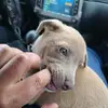 Antonio Walton - @antonio.walton62 - TikTok