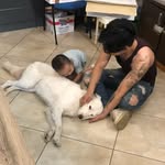 Antonio Wang - @antonio_wangg - Instagram