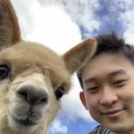 Antonio Wang - Facebook