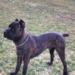 Antonio Warren - @slamntony - Instagram