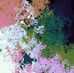 Antonio Warren - Facebook