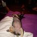 Antonio Witherspoon - Facebook