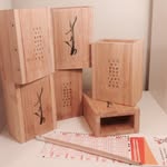 Antony Anderson - @luckybamboolotterypicker - Instagram