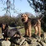 @antonybarker68 - Instagram