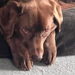 Antony Naps Johnston - @tony_naps - Instagram
