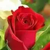 Antony Kiarie - @antony.kiarie2 - TikTok