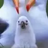 antonylee445 - @antonylee445 - TikTok