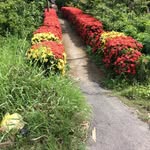 Antony Pham - @taolaomial - Instagram