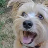 Antony Thornton - @a.thornton71 - TikTok