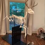 Anthony Todd - Facebook